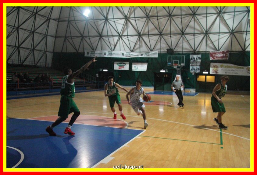 171204 zannalla_green 044.jpg